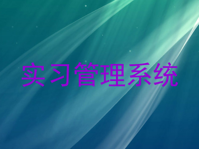 实习管理系统