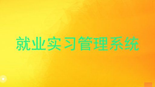 就业实习管理系统