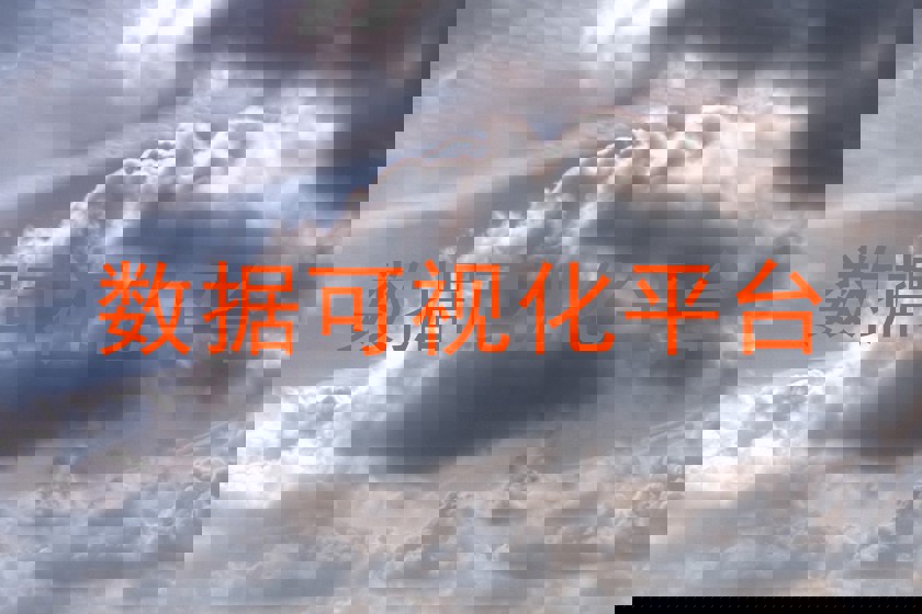数据可视化平台
