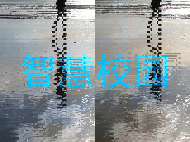 智慧校园