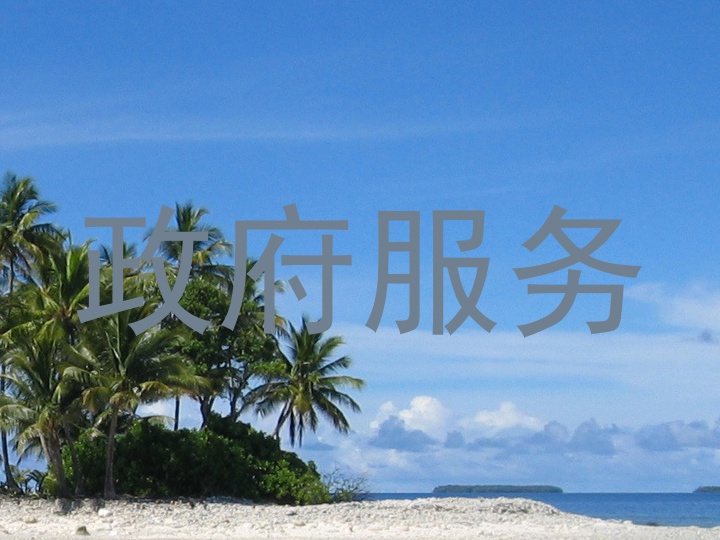 政府服务
