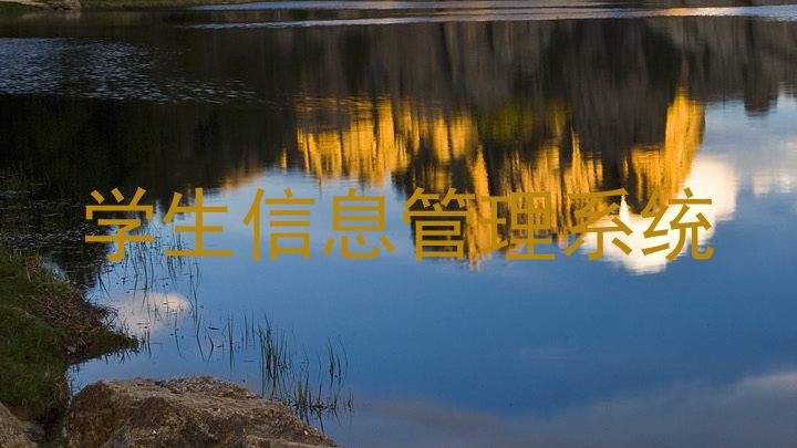 学生信息管理系统