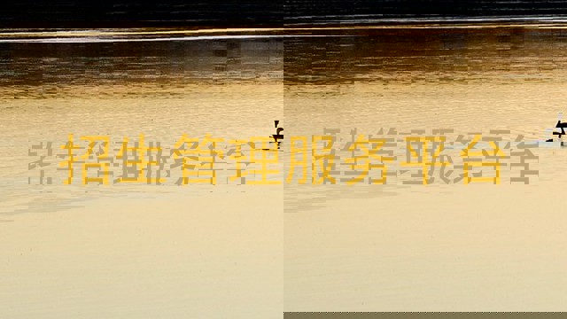 招生管理服务平台