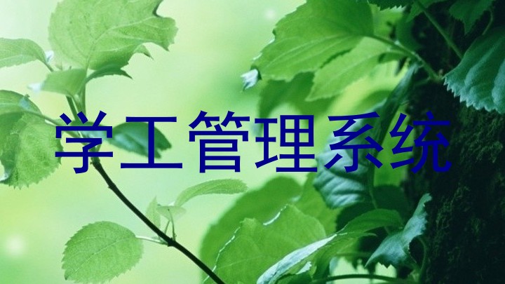学工管理系统
