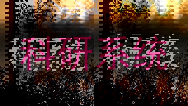 科研系统