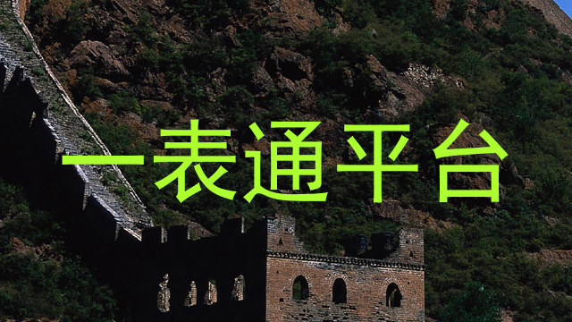 一表通平台