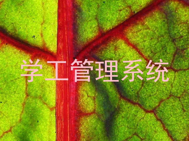 学工管理系统