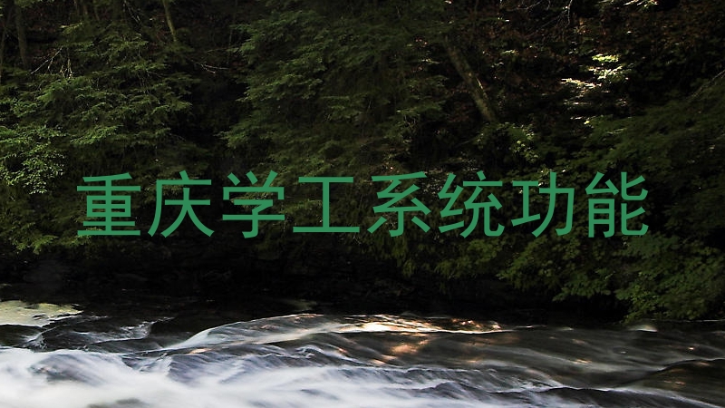 重庆学工系统功能