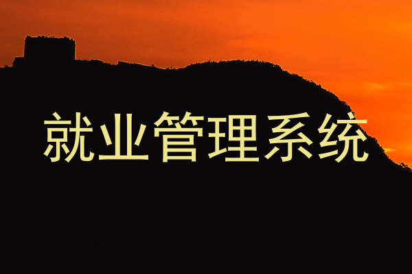 就业管理系统