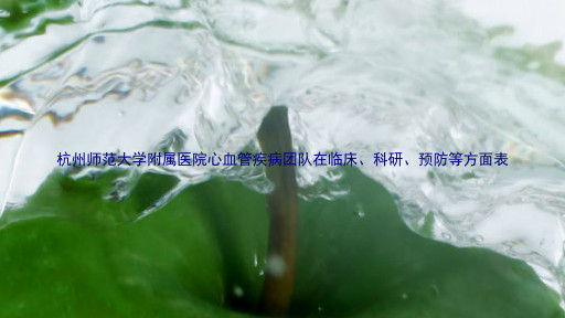 杭州师范大学附属医院心血管疾病团队在临床、科研、预防等方面表