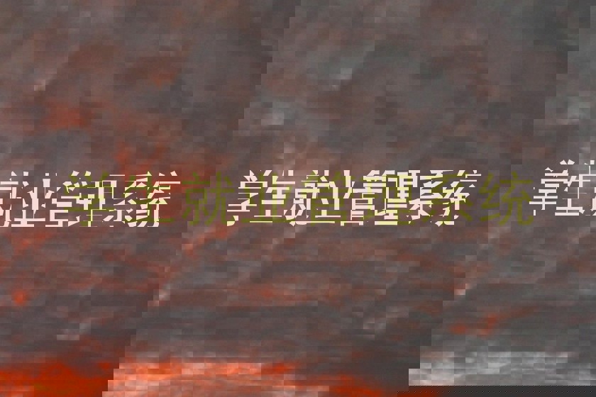 学生就业管理系统
