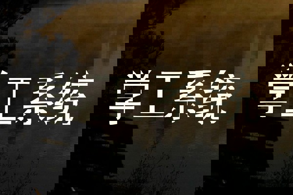 学工系统