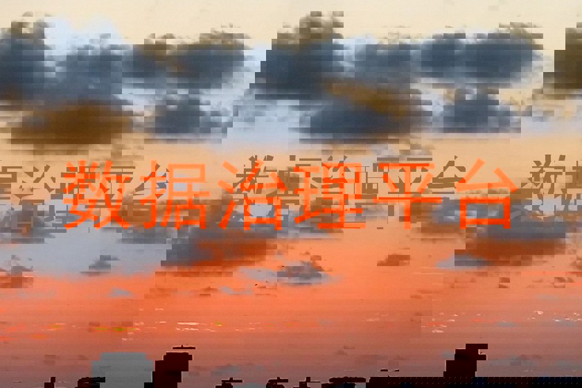 数据治理平台