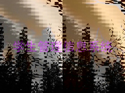 学生管理信息系统