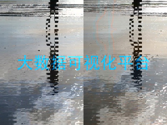 大数据可视化平台