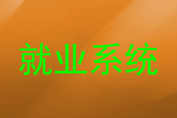 就业系统