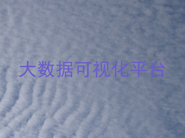 大数据可视化平台