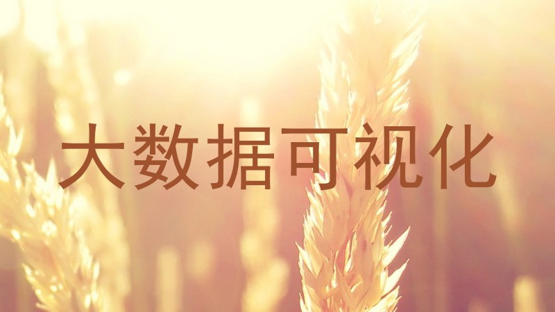 大数据可视化