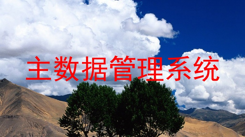 主数据管理系统