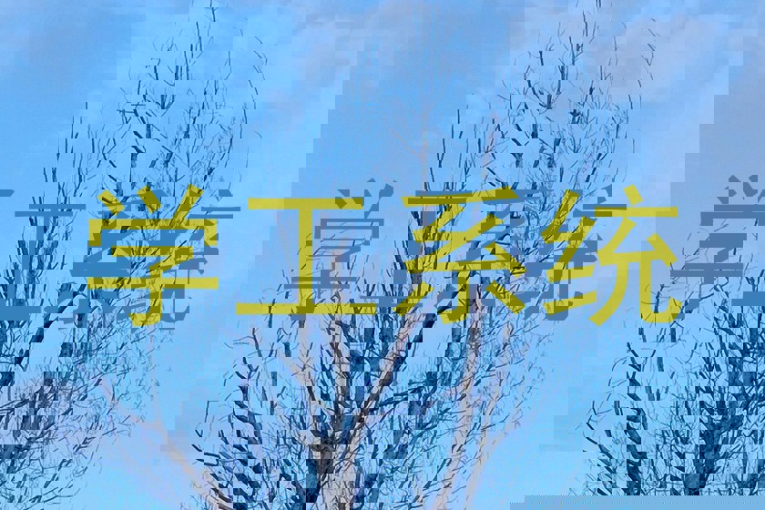 学工系统