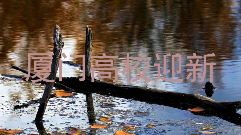 厦门高校迎新