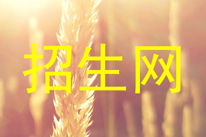 招生网