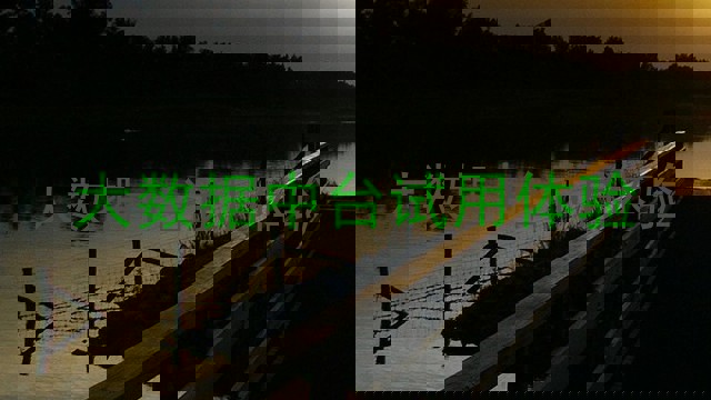 大数据中台试用体验