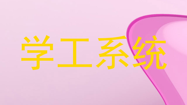 学工系统