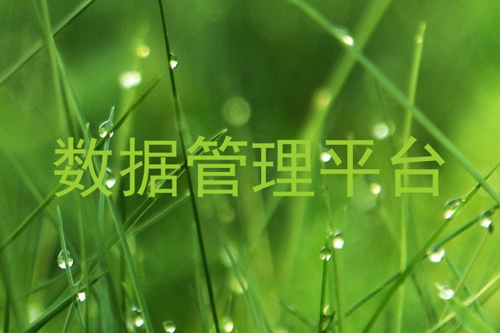 数据管理平台