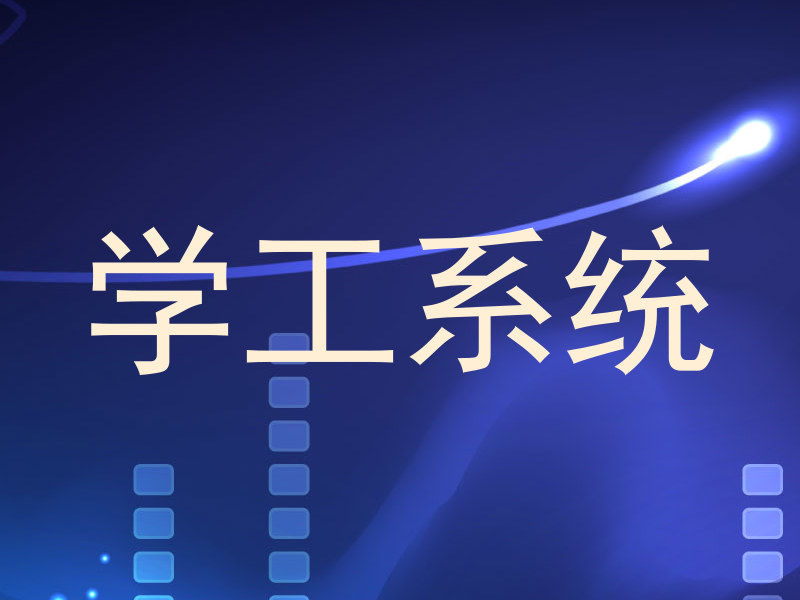 学工系统