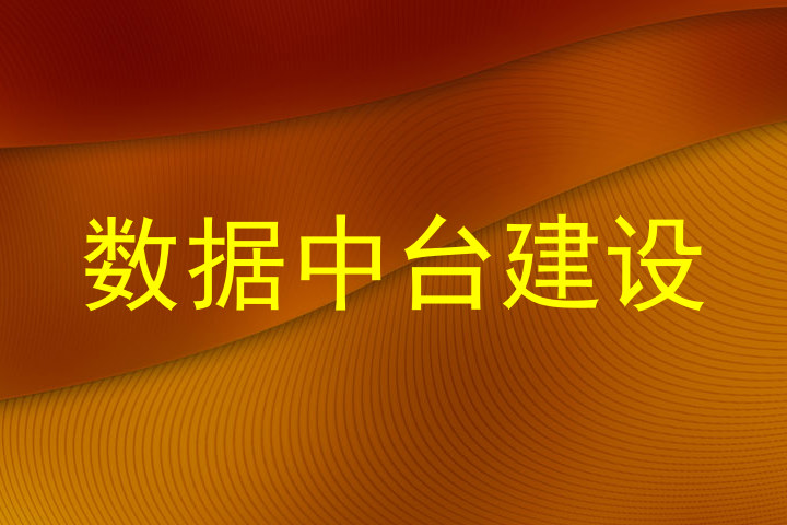 数据中台建设