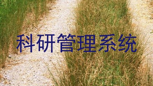科研管理系统