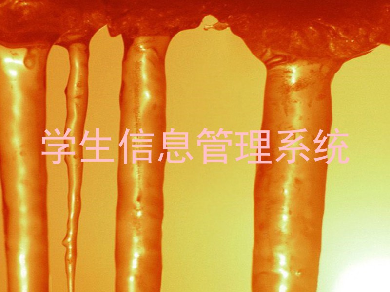 学生信息管理系统