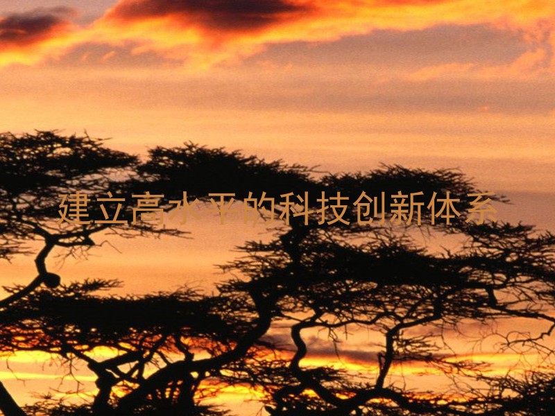 建立高水平的科技创新体系