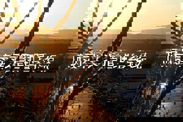 顶岗实习管理系统