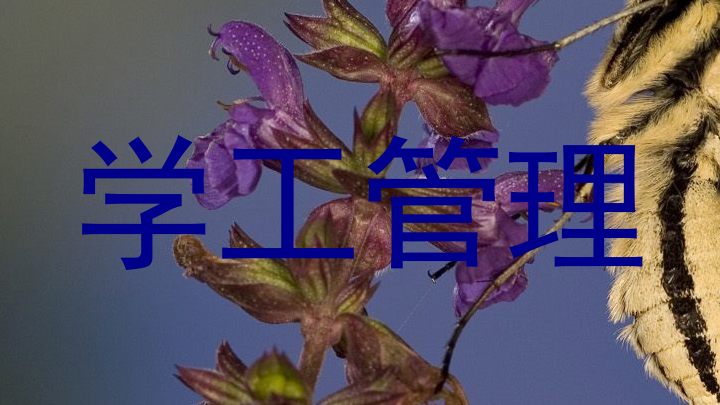 学工管理