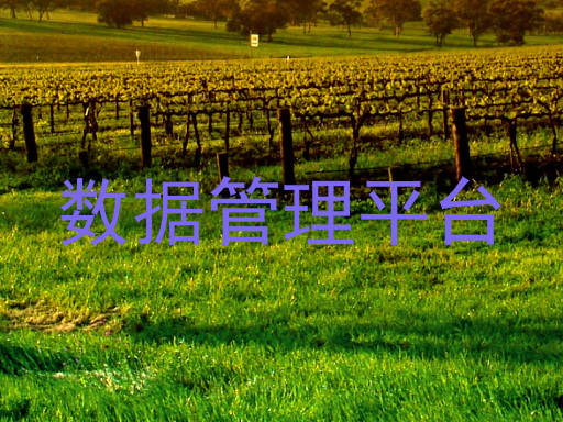 数据管理平台