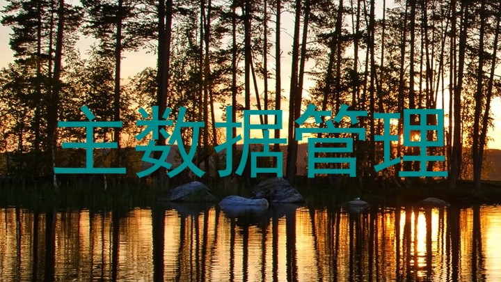 主数据管理