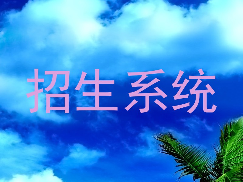 招生系统