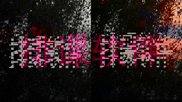 排课软件