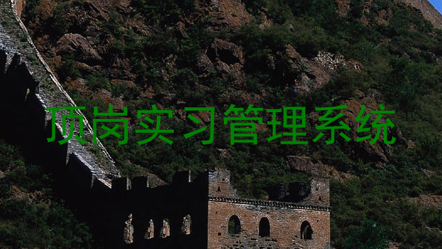 顶岗实习管理系统
