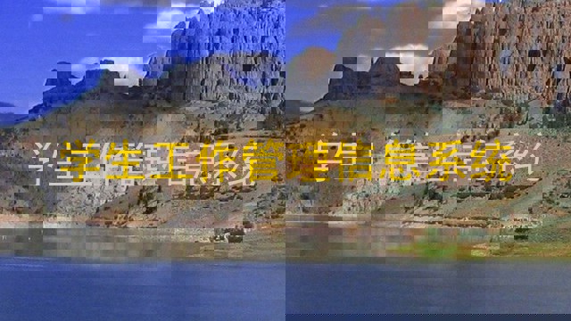 学生工作管理信息系统