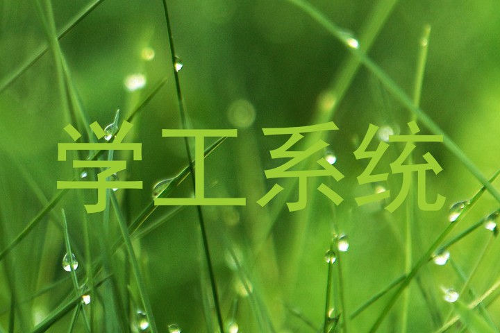学工系统