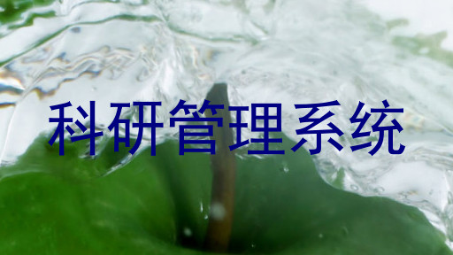 科研管理系统
