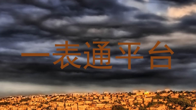 一表通平台
