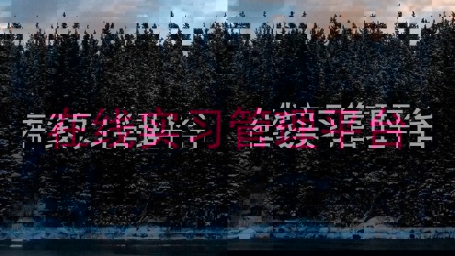 在线实习管理平台
