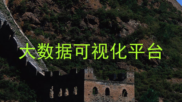 大数据可视化平台