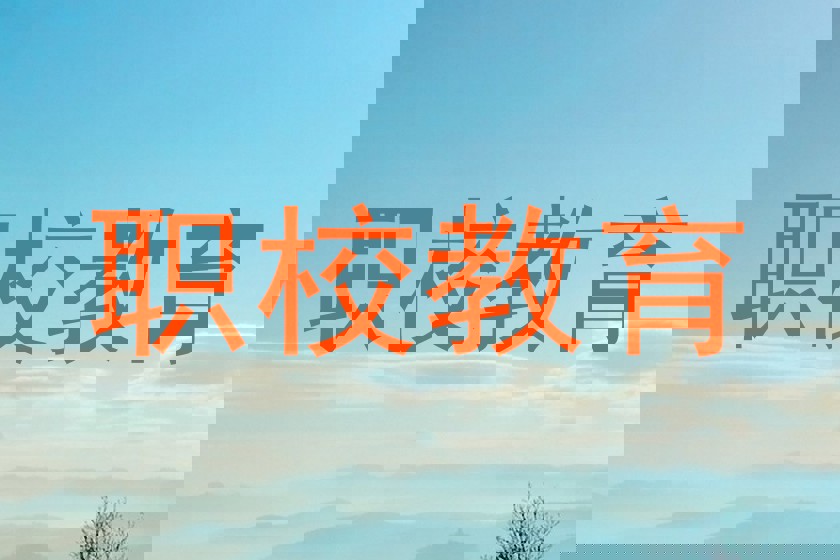 职校教育