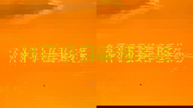 科研项目管理系统