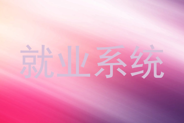 就业系统